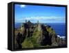 Dunluce Castle County Antrim Northern Ireland-Charles Bowman-Framed Stretched Canvas