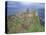 Dunluce Castle, County Antrim, Ulster, Northern Ireland, United Kingdom-Roy Rainford-Stretched Canvas