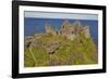 Dunluce Castle, near Portrush, County Antrim, Ulster, Northern Ireland, United Kingdom, Europe-Nigel Hicks-Framed Photographic Print