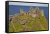 Dunluce Castle, near Portrush, County Antrim, Ulster, Northern Ireland, United Kingdom, Europe-Nigel Hicks-Framed Stretched Canvas