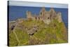 Dunluce Castle, near Portrush, County Antrim, Ulster, Northern Ireland, United Kingdom, Europe-Nigel Hicks-Stretched Canvas