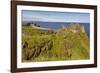 Dunluce Castle, near Portrush, County Antrim, Ulster, Northern Ireland, United Kingdom, Europe-Nigel Hicks-Framed Photographic Print