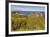 Dunluce Castle, near Portrush, County Antrim, Ulster, Northern Ireland, United Kingdom, Europe-Nigel Hicks-Framed Photographic Print