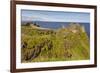 Dunluce Castle, near Portrush, County Antrim, Ulster, Northern Ireland, United Kingdom, Europe-Nigel Hicks-Framed Photographic Print