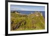 Dunluce Castle, near Portrush, County Antrim, Ulster, Northern Ireland, United Kingdom, Europe-Nigel Hicks-Framed Photographic Print