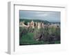 Dunluce Castle on Cliff, Northern Ireland-Pat Canova-Framed Photographic Print