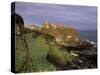 Dunluce Castle, Portrush, County Antrim, Ulster, Northern Ireland, UK-Patrick Dieudonne-Stretched Canvas