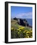 Dunluce-Charles Bowman-Framed Photographic Print