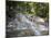 Dunn's River Falls, Ocho Rios, Jamaica, West Indies, Caribbean, Central America-Angelo Cavalli-Mounted Photographic Print