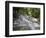 Dunn's River Falls, Ocho Rios, Jamaica, West Indies, Caribbean, Central America-Angelo Cavalli-Framed Photographic Print