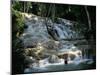 Dunn's River Falls, Ocho Rios, Jamaica-null-Mounted Photographic Print