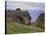 Dunnotar Castle Dating from the 14th Century, Near Stonehaven, Aberdeenshire, Scotland, UK-Patrick Dieudonne-Stretched Canvas