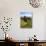 Dunnottar Castle Near Stonehaven, Aberdeenshire, Scotland, United Kingdom, Europe-Mark Sunderland-Photographic Print displayed on a wall