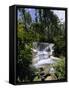 Dunns River Falls, Jamaica, Caribbean, West Indies, Central America-Robert Harding-Framed Stretched Canvas