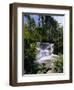 Dunns River Falls, Jamaica, Caribbean, West Indies, Central America-Robert Harding-Framed Photographic Print