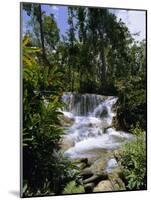 Dunns River Falls, Jamaica, Caribbean, West Indies, Central America-Robert Harding-Mounted Photographic Print
