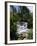 Dunns River Falls, Jamaica, Caribbean, West Indies, Central America-Robert Harding-Framed Photographic Print