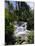 Dunns River Falls, Jamaica, Caribbean, West Indies, Central America-Robert Harding-Mounted Photographic Print