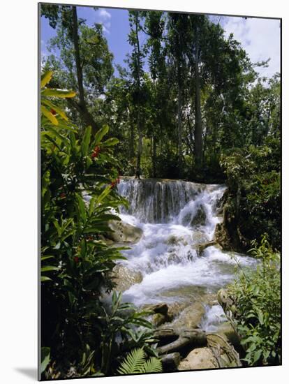 Dunns River Falls, Jamaica, Caribbean, West Indies, Central America-Robert Harding-Mounted Photographic Print