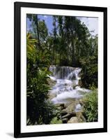 Dunns River Falls, Jamaica, Caribbean, West Indies, Central America-Robert Harding-Framed Photographic Print