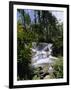 Dunns River Falls, Jamaica, Caribbean, West Indies, Central America-Robert Harding-Framed Photographic Print