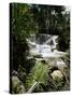 Dunns River Falls, Jamaica, West Indies, Caribbean, Central America-Robert Harding-Stretched Canvas