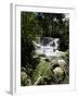 Dunns River Falls, Jamaica, West Indies, Caribbean, Central America-Robert Harding-Framed Photographic Print