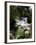 Dunns River Falls, Jamaica, West Indies, Caribbean, Central America-Robert Harding-Framed Photographic Print