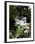Dunns River Falls, Jamaica, West Indies, Caribbean, Central America-Robert Harding-Framed Photographic Print
