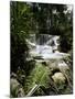 Dunns River Falls, Jamaica, West Indies, Caribbean, Central America-Robert Harding-Mounted Photographic Print