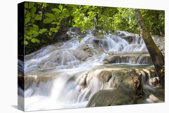 Dunns River Falls, Ocho Rios, Jamaica, West Indies, Caribbean, Central America-Doug Pearson-Stretched Canvas