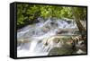 Dunns River Falls, Ocho Rios, Jamaica, West Indies, Caribbean, Central America-Doug Pearson-Framed Stretched Canvas
