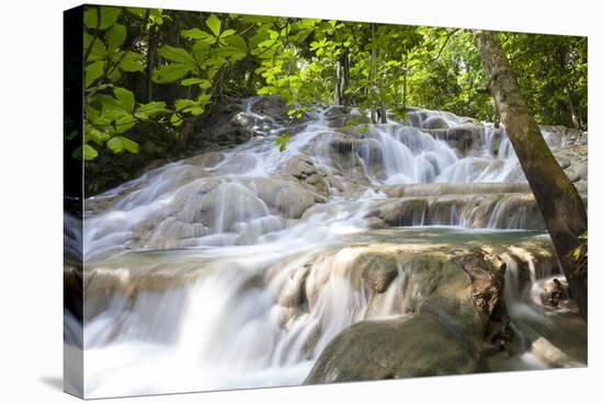 Dunns River Falls, Ocho Rios, Jamaica, West Indies, Caribbean, Central America-Doug Pearson-Stretched Canvas