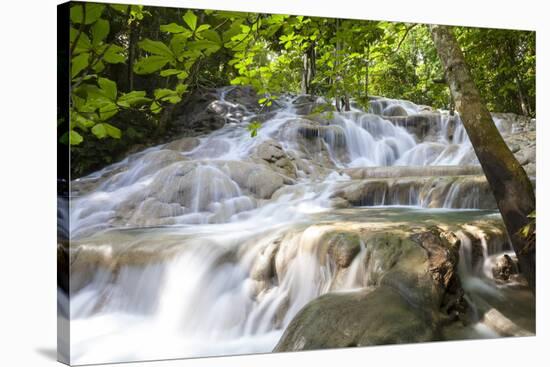 Dunns River Falls, Ocho Rios, Jamaica, West Indies, Caribbean, Central America-Doug Pearson-Stretched Canvas