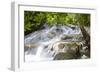 Dunns River Falls, Ocho Rios, Jamaica, West Indies, Caribbean, Central America-Doug Pearson-Framed Photographic Print