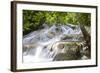 Dunns River Falls, Ocho Rios, Jamaica, West Indies, Caribbean, Central America-Doug Pearson-Framed Photographic Print