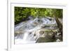 Dunns River Falls, Ocho Rios, Jamaica, West Indies, Caribbean, Central America-Doug Pearson-Framed Photographic Print