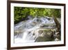 Dunns River Falls, Ocho Rios, Jamaica, West Indies, Caribbean, Central America-Doug Pearson-Framed Photographic Print