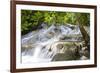 Dunns River Falls, Ocho Rios, Jamaica, West Indies, Caribbean, Central America-Doug Pearson-Framed Photographic Print
