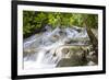 Dunns River Falls, Ocho Rios, Jamaica, West Indies, Caribbean, Central America-Doug Pearson-Framed Photographic Print