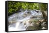 Dunns River Falls, Ocho Rios, Jamaica, West Indies, Caribbean, Central America-Doug Pearson-Framed Stretched Canvas