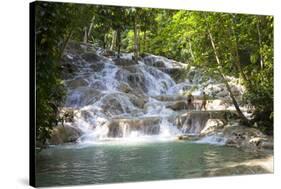 Dunns River Falls, Ocho Rios, Jamaica, West Indies, Caribbean, Central America-Doug Pearson-Stretched Canvas