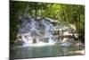 Dunns River Falls, Ocho Rios, Jamaica, West Indies, Caribbean, Central America-Doug Pearson-Mounted Photographic Print