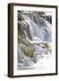 Dunns River Falls, Ocho Rios, Jamaica, West Indies, Caribbean, Central America-Doug Pearson-Framed Photographic Print