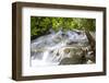 Dunns River Falls, Ocho Rios, Jamaica, West Indies, Caribbean, Central America-Doug Pearson-Framed Premium Photographic Print
