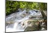 Dunns River Falls, Ocho Rios, Jamaica, West Indies, Caribbean, Central America-Doug Pearson-Mounted Premium Photographic Print