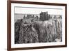 Dunottar Castle, 2007-Vincent Alexander Booth-Framed Giclee Print