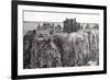 Dunottar Castle, 2007-Vincent Alexander Booth-Framed Giclee Print