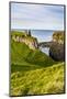 Dunseverick Castle Near the Giants Causeway-Michael Runkel-Mounted Photographic Print