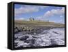 Dunstanburgh Castle and the Coast, Northumbria (Northumberland), England, UK, Europe-Charles Bowman-Framed Stretched Canvas